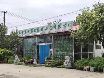 北京格林菲尔园林工程有限公司