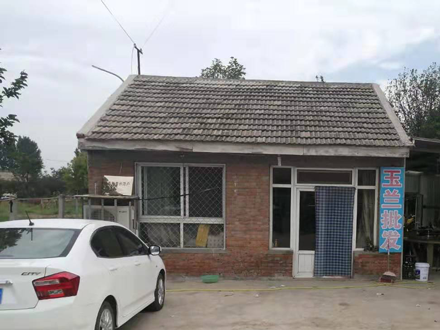 苗木二期7排18号