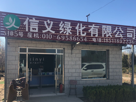 北京信义园林绿化有限公司