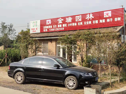 北京奉先绿化苗木基地