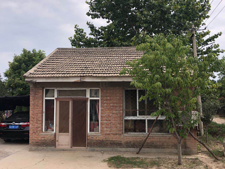 苗木二期6排11号