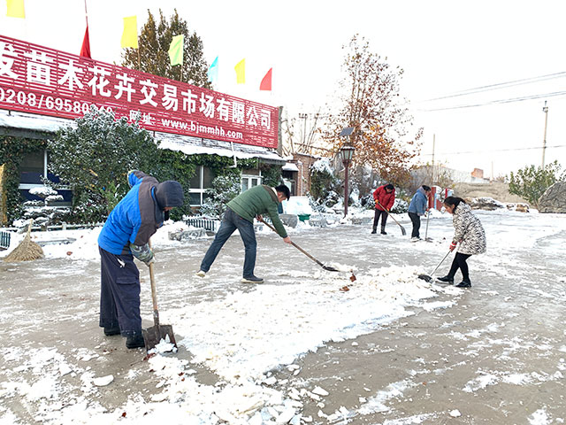 2021北京第一场雪，银装素裹的华源发苗木市场