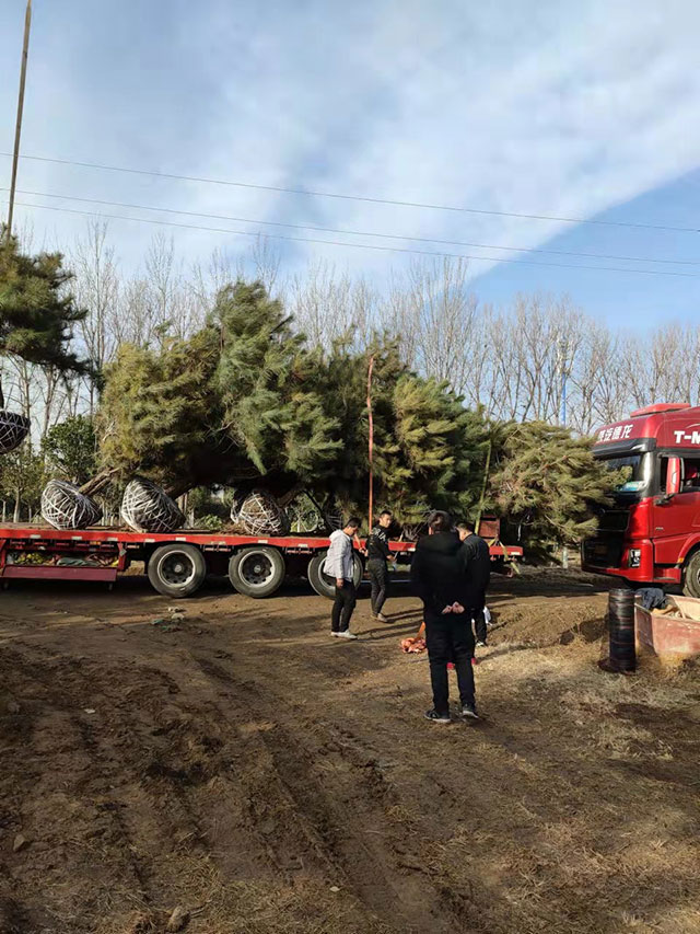 华源发最可爱的一线员工--华源发基地销售场景
