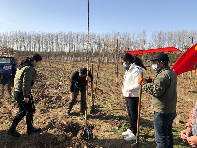 2021年第一届华源发植树节活动-华源发绿化网