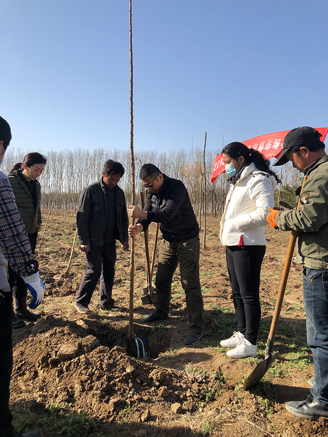 2021年第一届华源发植树节活动-华源发绿化网