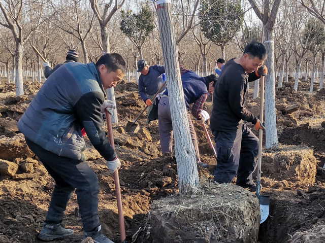 华源发研发基地全员及华联租赁各站、华源发市场后勤支援人员工作现场