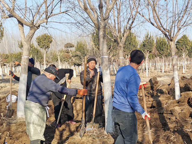 华源发研发基地全员及华联租赁各站、华源发市场后勤支援人员工作现场