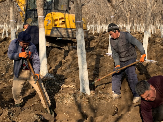 华源发研发基地全员及华联租赁各站、华源发市场后勤支援人员工作现场