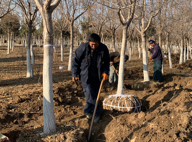 华源发研发基地全员及华联租赁各站、华源发市场后勤支援人员工作现场