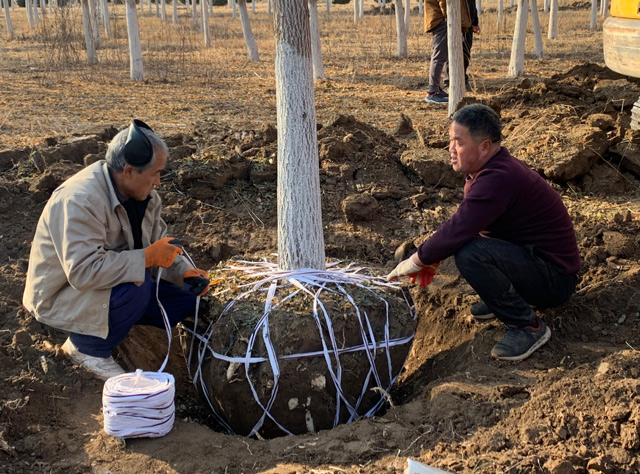 华源发研发基地全员及华联租赁各站、华源发市场后勤支援人员工作现场