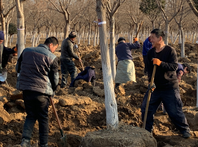 华源发研发基地全员及华联租赁各站、华源发市场后勤支援人员工作现场