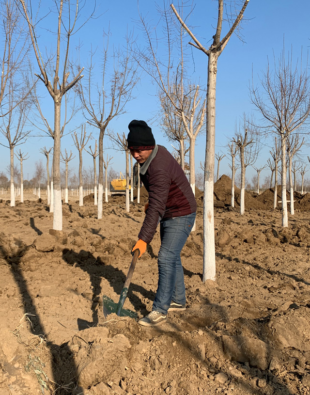 华源发研发基地全员及华联租赁各站、华源发市场后勤支援人员工作现场