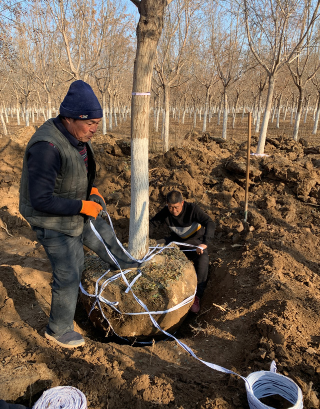 华源发研发基地全员及华联租赁各站、华源发市场后勤支援人员工作现场