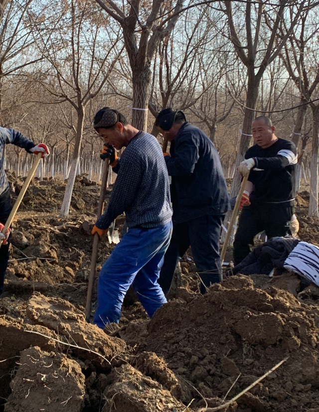 华源发研发基地全员及华联租赁各站、华源发市场后勤支援人员工作现场