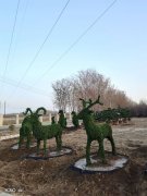 【本周上新】小叶女贞动物造型