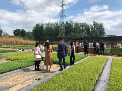 上级领导来我市场进行调研考察