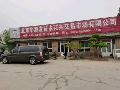 <b>绿育新知，自然课堂 —— 华源发苗木花卉交易市场，不止于交易的科普</b>