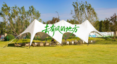 领跑“苗木+文旅”新赛道，到有风的地方来吸氧